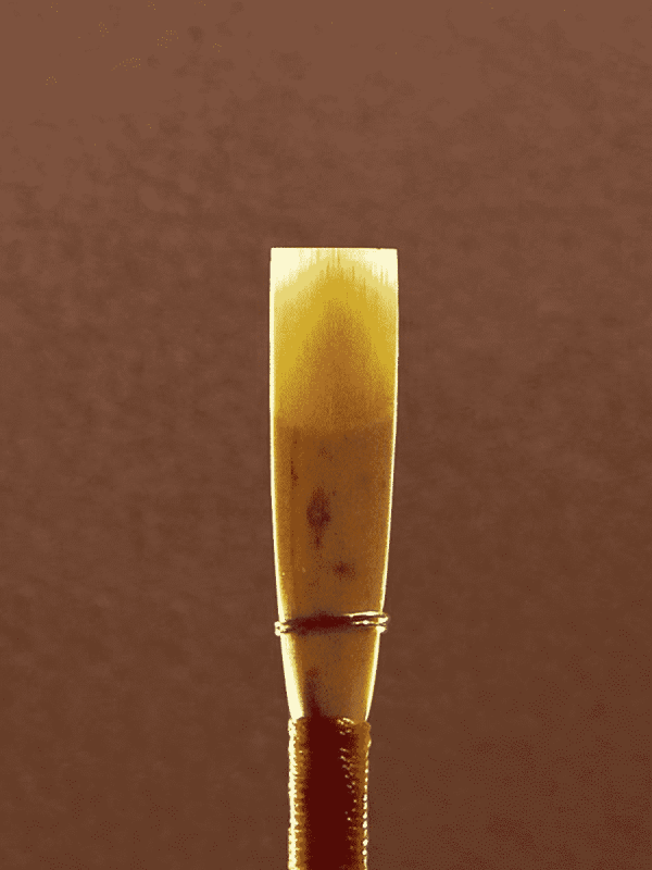 Danzi Student Oboe Reed Made in Italy