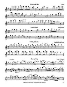 Blocki Flute Method Book 2 Sample 8
