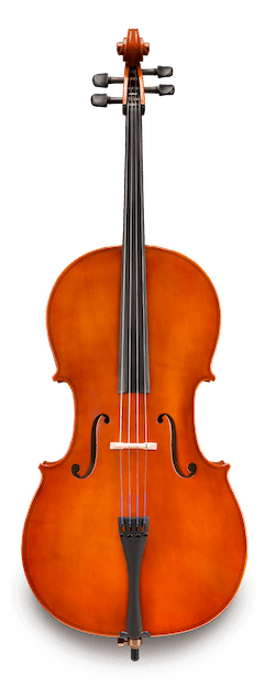 Samuel Eastman VC50 Student Cello