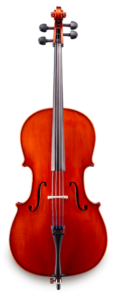 Samuel Eastman VC150 Student Cello