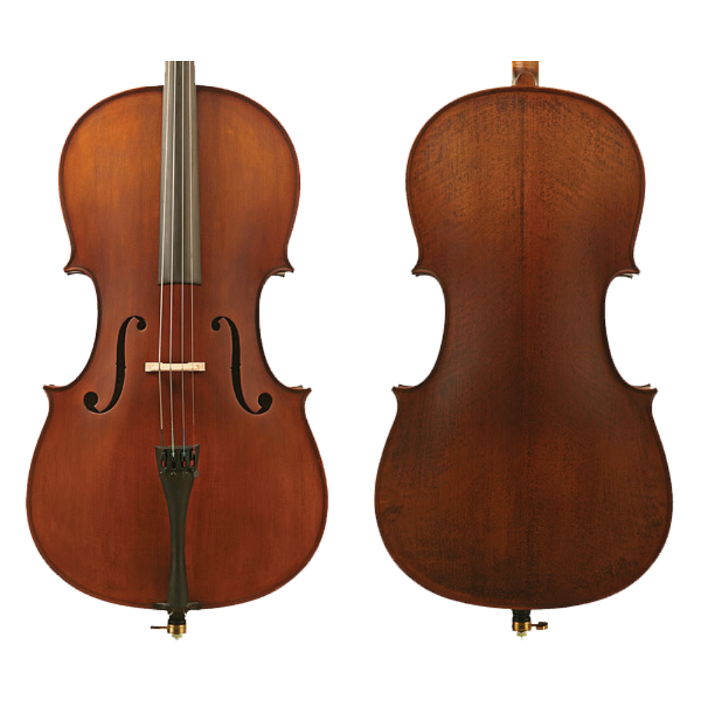 Enrico Student Plus II Cello Outfit front and back view